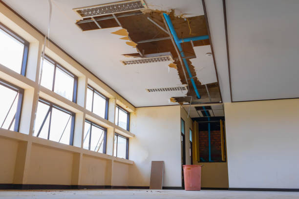Best Water damage cleanup near me  in Germantown, OH