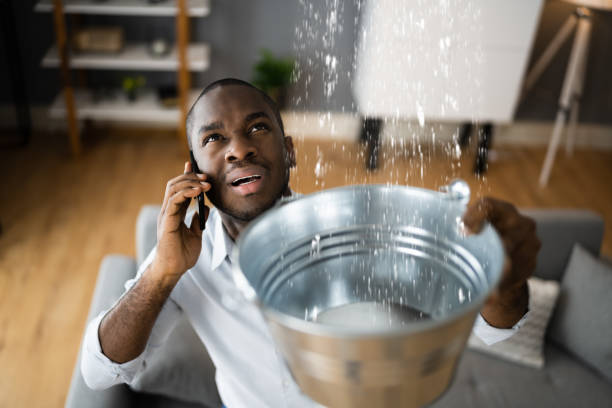 Best Professional water damage repair  in Germantown, OH