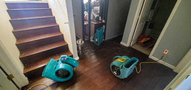  Germantown, OH Water damage restoration Pros