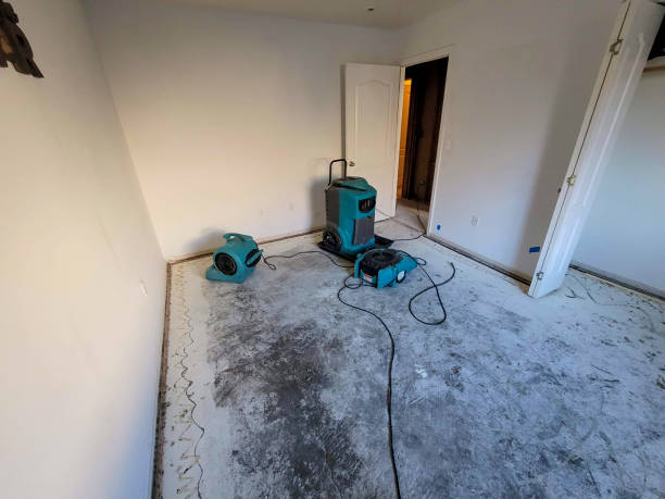 Best Ceiling water damage repair  in Germantown, OH