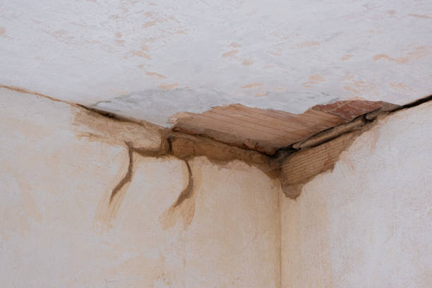 Best 24/7 water damage repair  in Germantown, OH