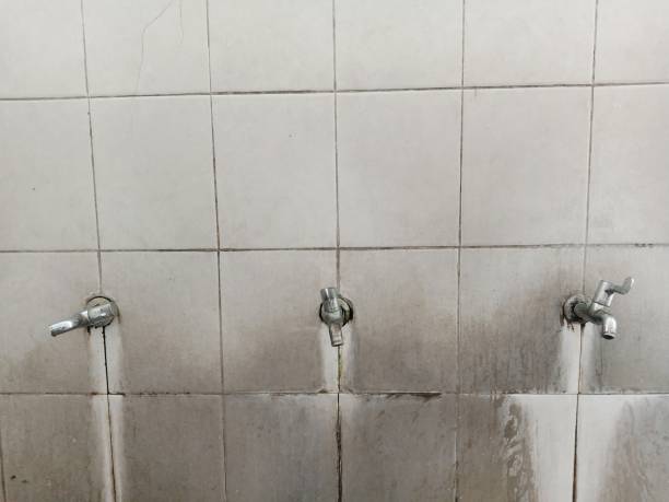 Best Mold removal after water damage  in Germantown, OH